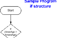 IF Sample Program 1 | introduction to programming