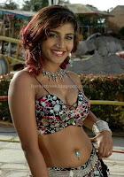 Kausha, latest, hot, navel, and, cleavage, show