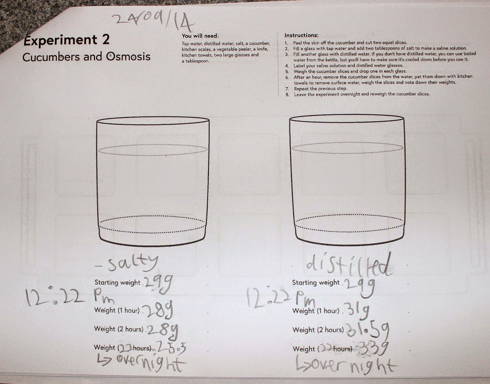Creating and Educating Cucumber Osmosis