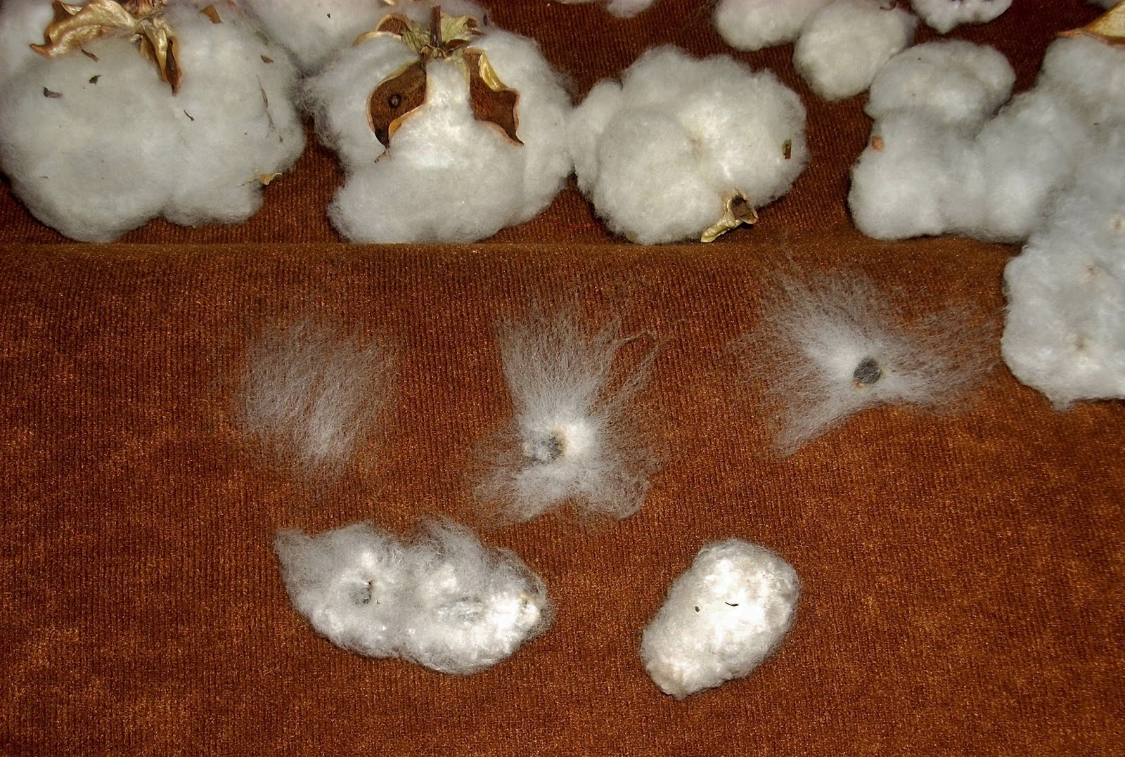 HeartSong Studio Ginning Cotton by Hand