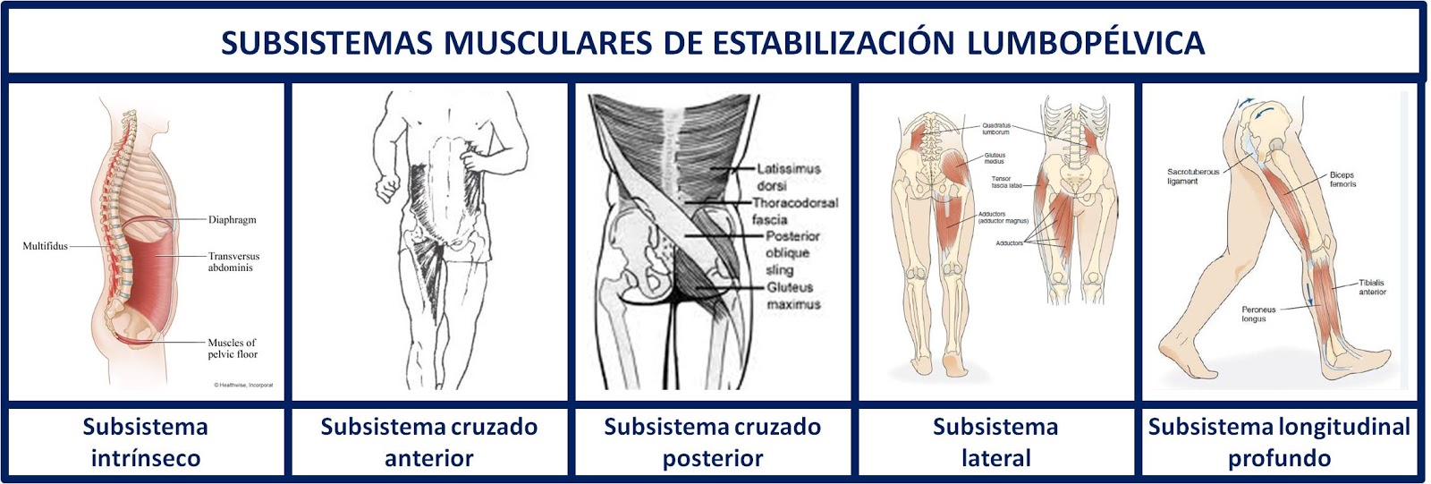 Valoraci\u00f3n del movimiento y prescripci\u00f3n de ejercicio: DEC\u00c1LOGO DE ...