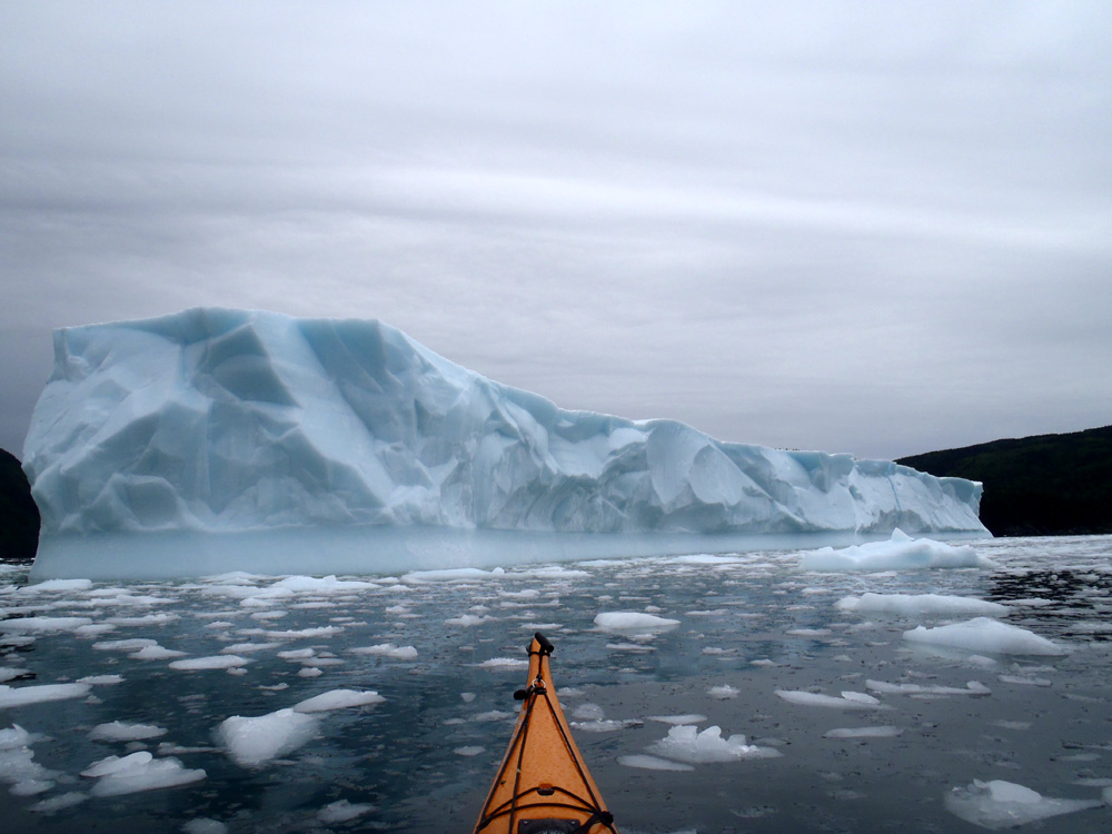 My newfoundland kayak experience iceberg alley