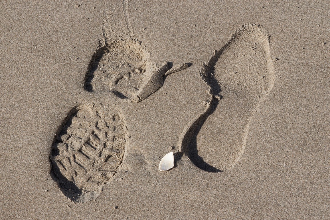footsteps in sand with seashell