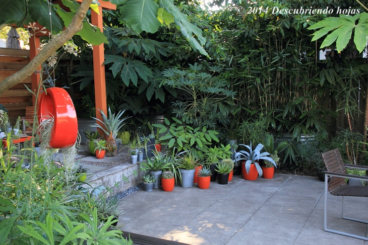 Descubriendo hojas: Danger garden (Jardín peligroso)...continuación #