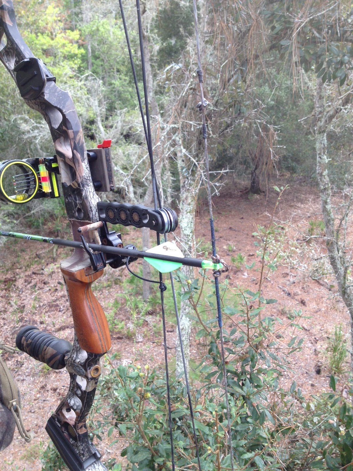 Real Life Outdoors Chassahowitzka Archery Hunt High Waters and Deep