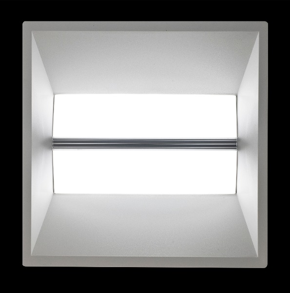 Living Green With LED Lighting World Daintree and Cree partner on