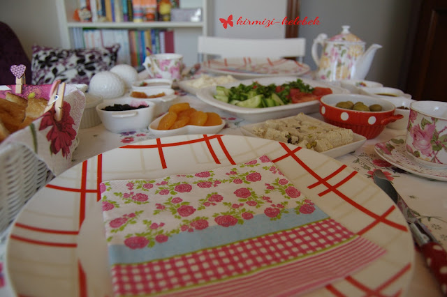 Bir Kelebeğin Renkli Dünyası: Nisan 2013