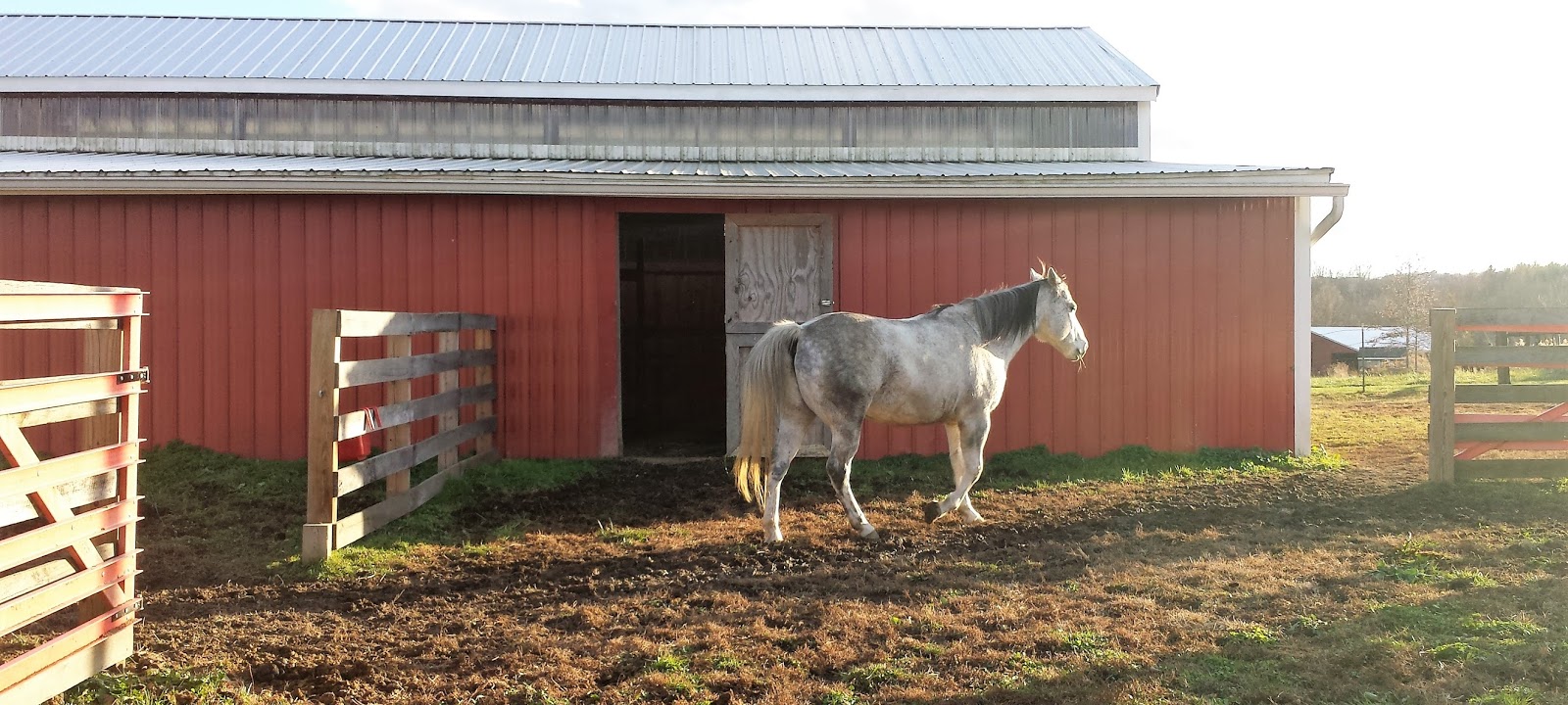 Riding & Writing... Straight How to use it and not abuse it by Zeliha