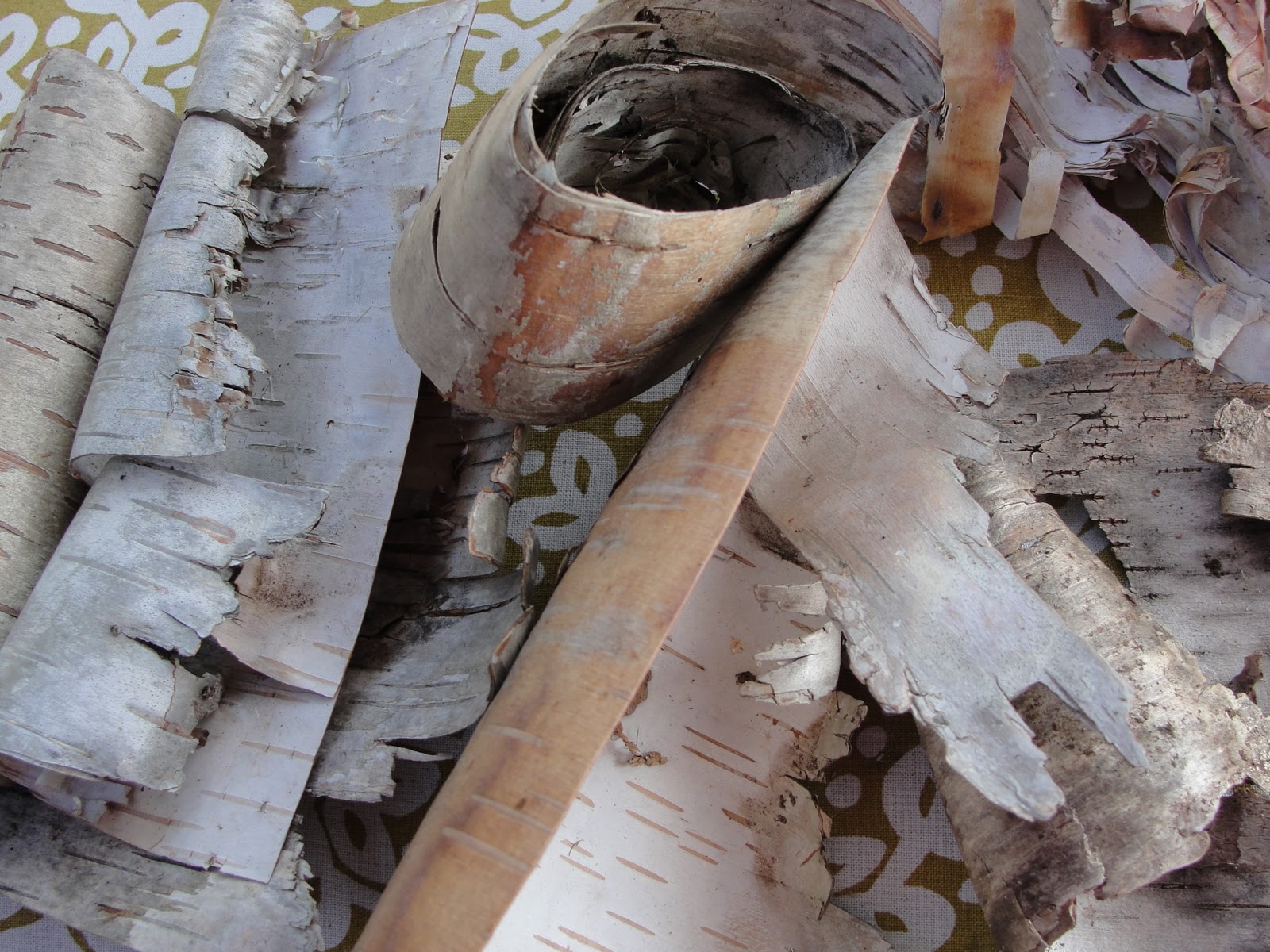 Birchbark paper craft
