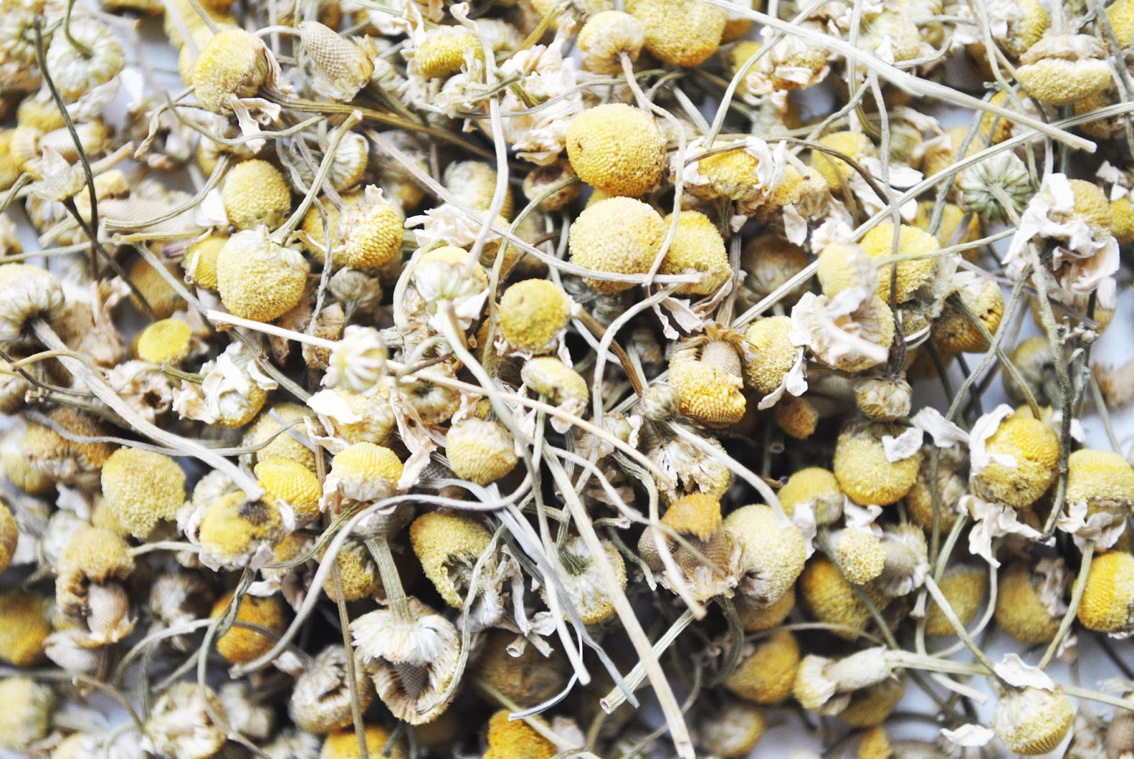 HOW TO RUB CHAMOMILE TEA ON ACNE SCARS