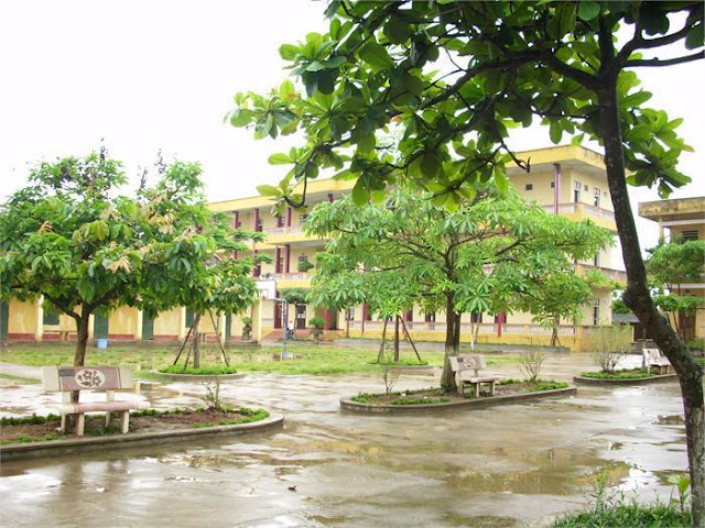 Trường THPT Hải Hậu C - Nam Định, Hai Hau C, Nam Dinh