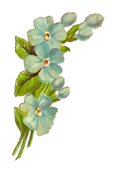 flower scrap flowers digital antique corner graphic designs victorian drawing forget pretty clipart cliparts