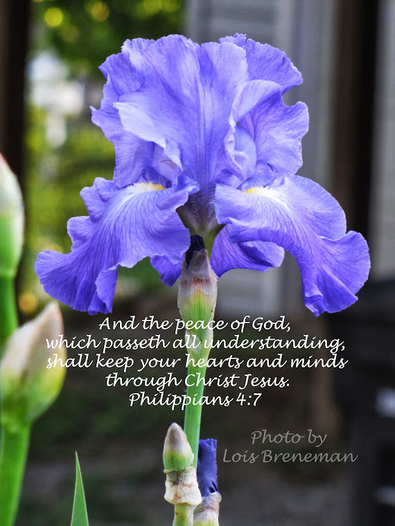 Blue Iris - Phil. 4:7