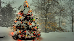 christmas trees hd wallpapers tree unique
