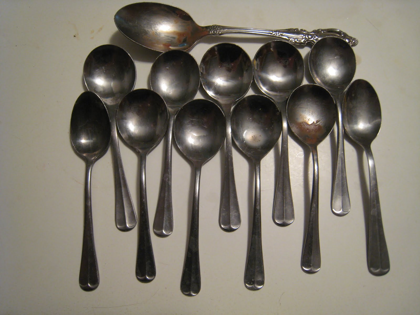 Empty Nest Feathers Summer Habits