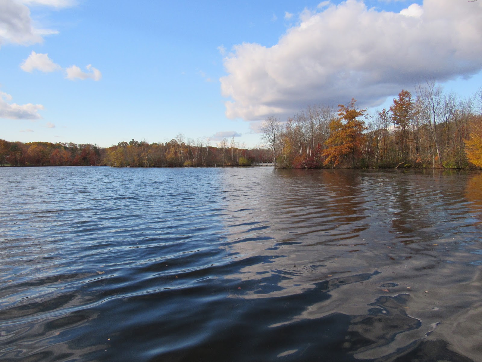 TM Gallery Franklin Lakes Nature Preserve November 3, 2016