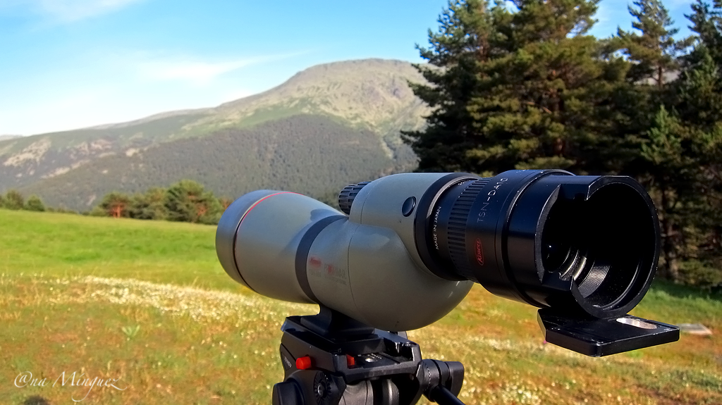 NATURANAFOTOS: agosto 2013