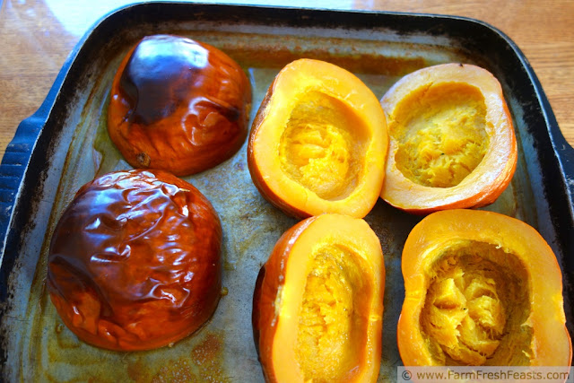 http://www.farmfreshfeasts.com/2012/09/processing-pile-of-pumpkins.html