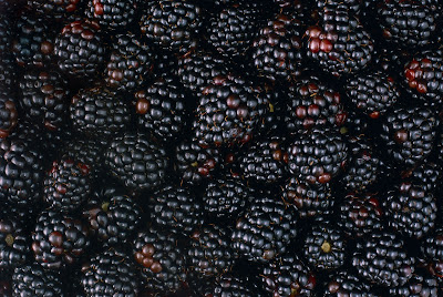 Fotografias de Frutas - Fruits