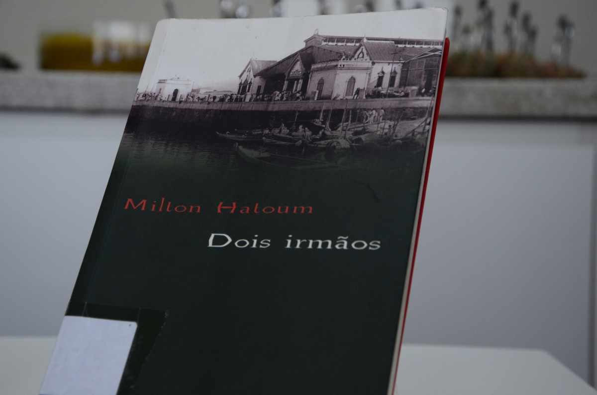 dois irmãos milton hatoum pdf wood