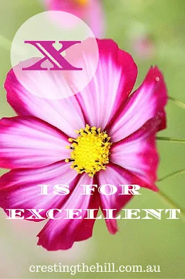 The A-Z of Positive Personality Traits - X is for eXcellent - www.crestingthehill.com.au