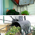 Marvelous mailboxes in the gardening