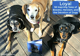 3 rescued dogs with Loyal book