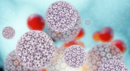 Lima Fakta Mengenai HPV, Penyebab Kanker Serviks