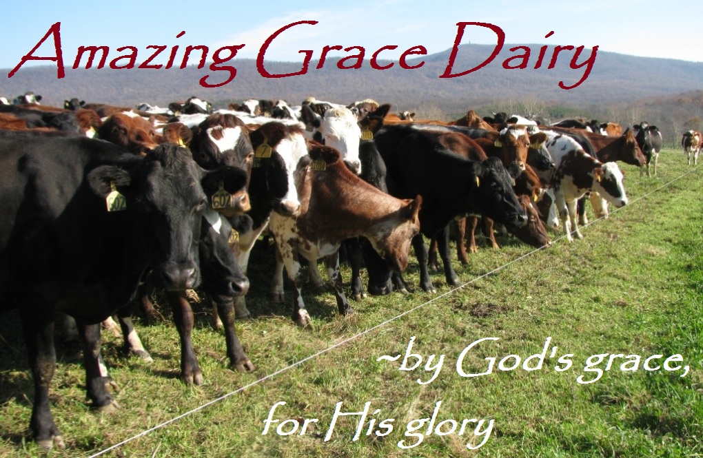 Amazing Grace Dairy