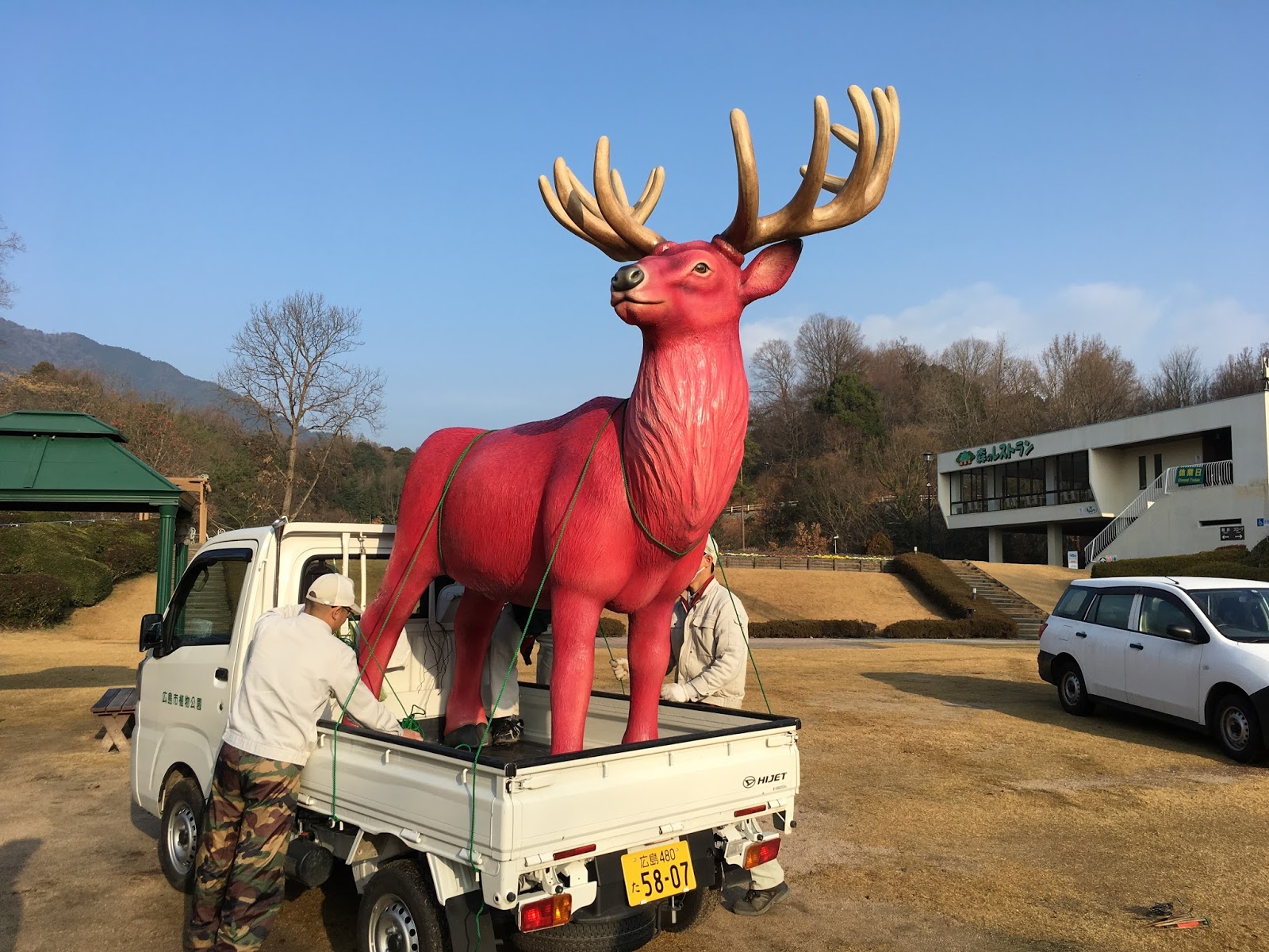 広島市植物公園ブログ 巨大なエルク アメリカアカシカ
