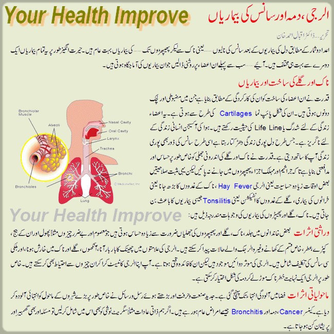 YourHealthimprove Allergy and dama Knowledge in urdu