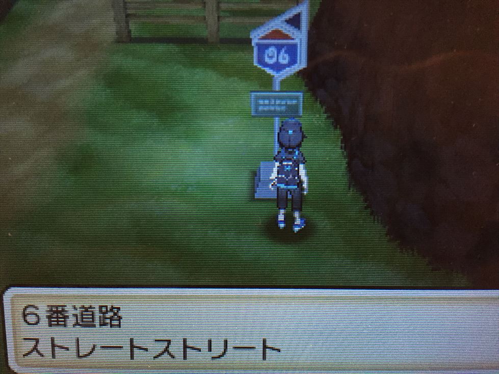 ポケさんぽ ポケットモンスター サン 6 アーカラ島 6番道路 カキの試練 3ds