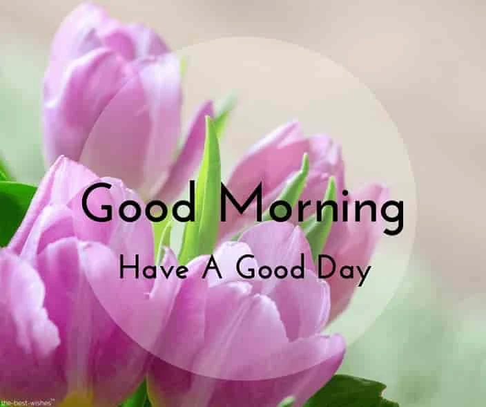 very good morning with flowers