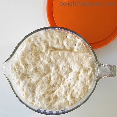 Sourdough Dough First Rise / www.delightfulrepast.com