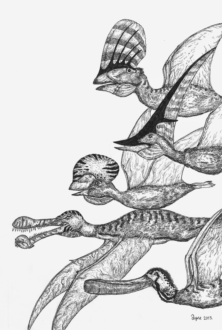 06-Flying-Dinosaurs-Dušan-Krtolica-Душан-Кртолица-Drawing-Animals-and-Insects-from-His-Memory-Bank-www-designstack-co