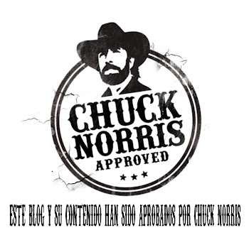 Chuck Norris Approves This Blog