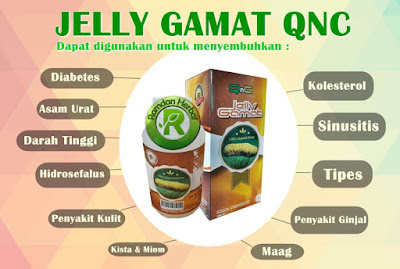 Pengobatan Tradisional Penyakit Bronkitis