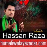 https://www.humaliwalyazadar.com/2018/09/hassan-raza-nohay-2019.html