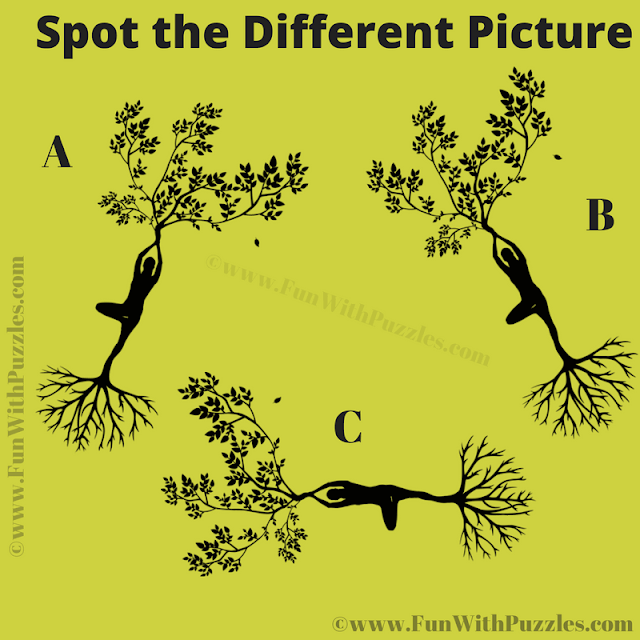 Yoga-Themed Odd One Out Picture Puzzle for Mental Exercise