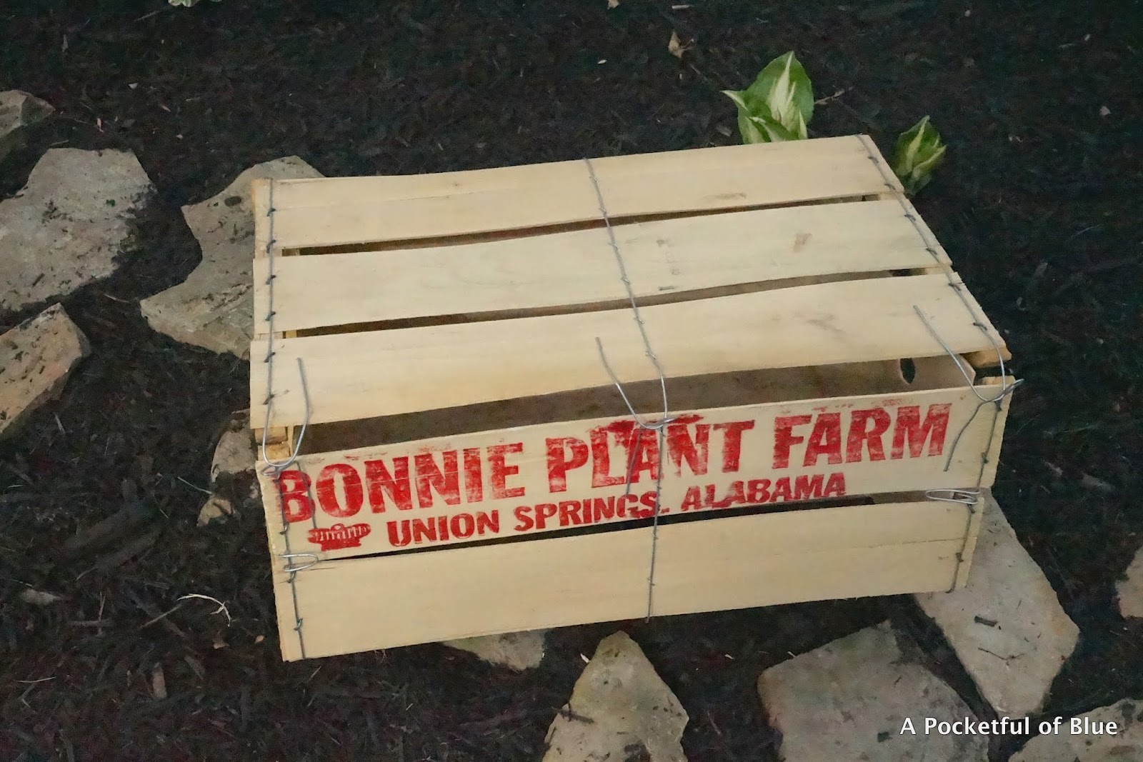 Free &quot;Bonnie Plant Farm&quot; Crate