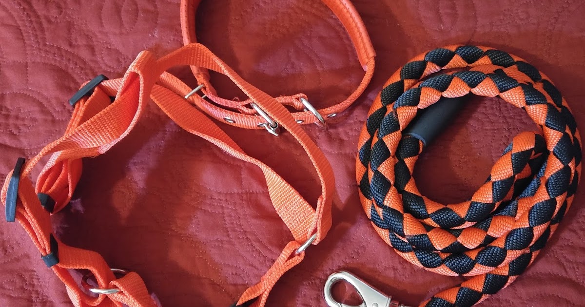 Heather Speaks Out Segarty Dog Leash Harness & Collar Set Review