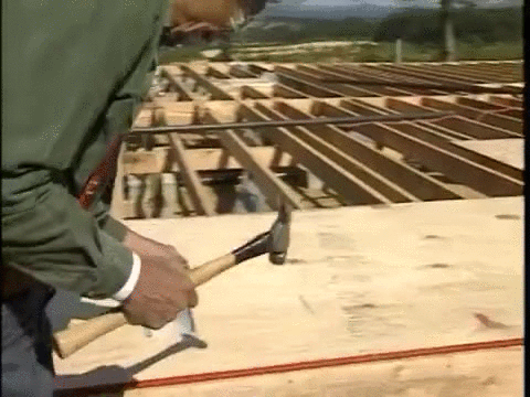 못박기 달인.gif (데이터주의) | 인스티즈