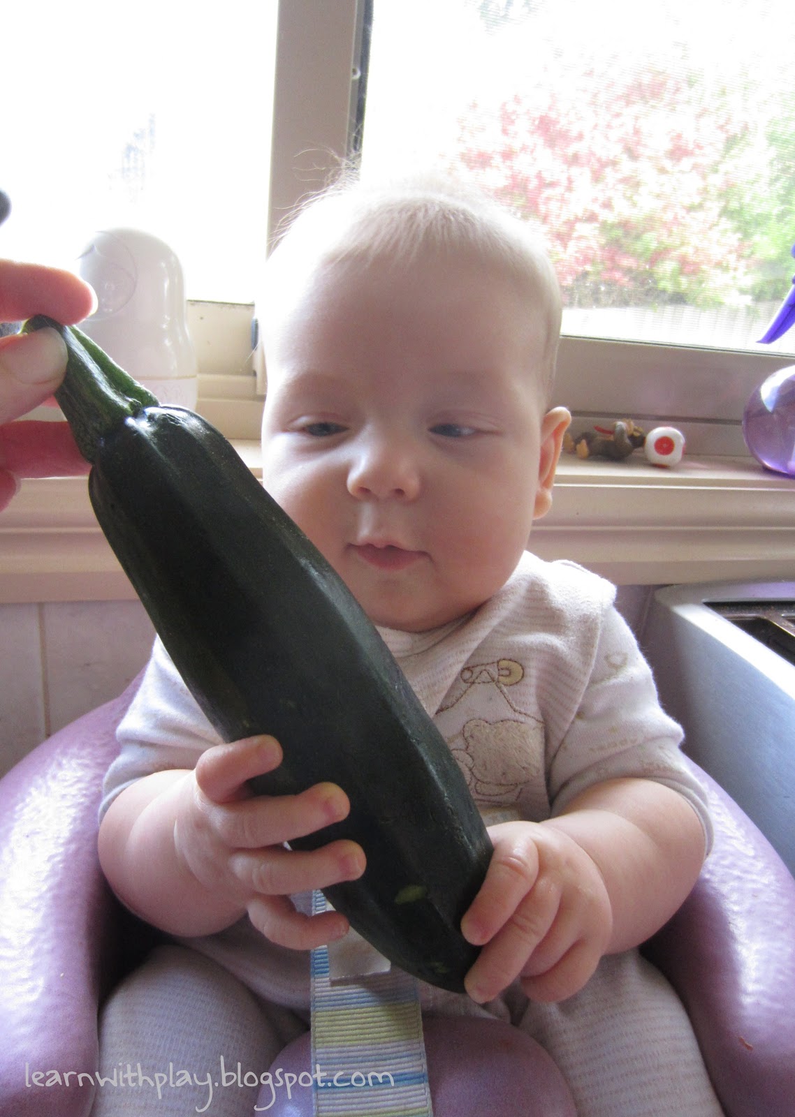 Learn with Play at Home Cooking with Kids Zucchini Slice