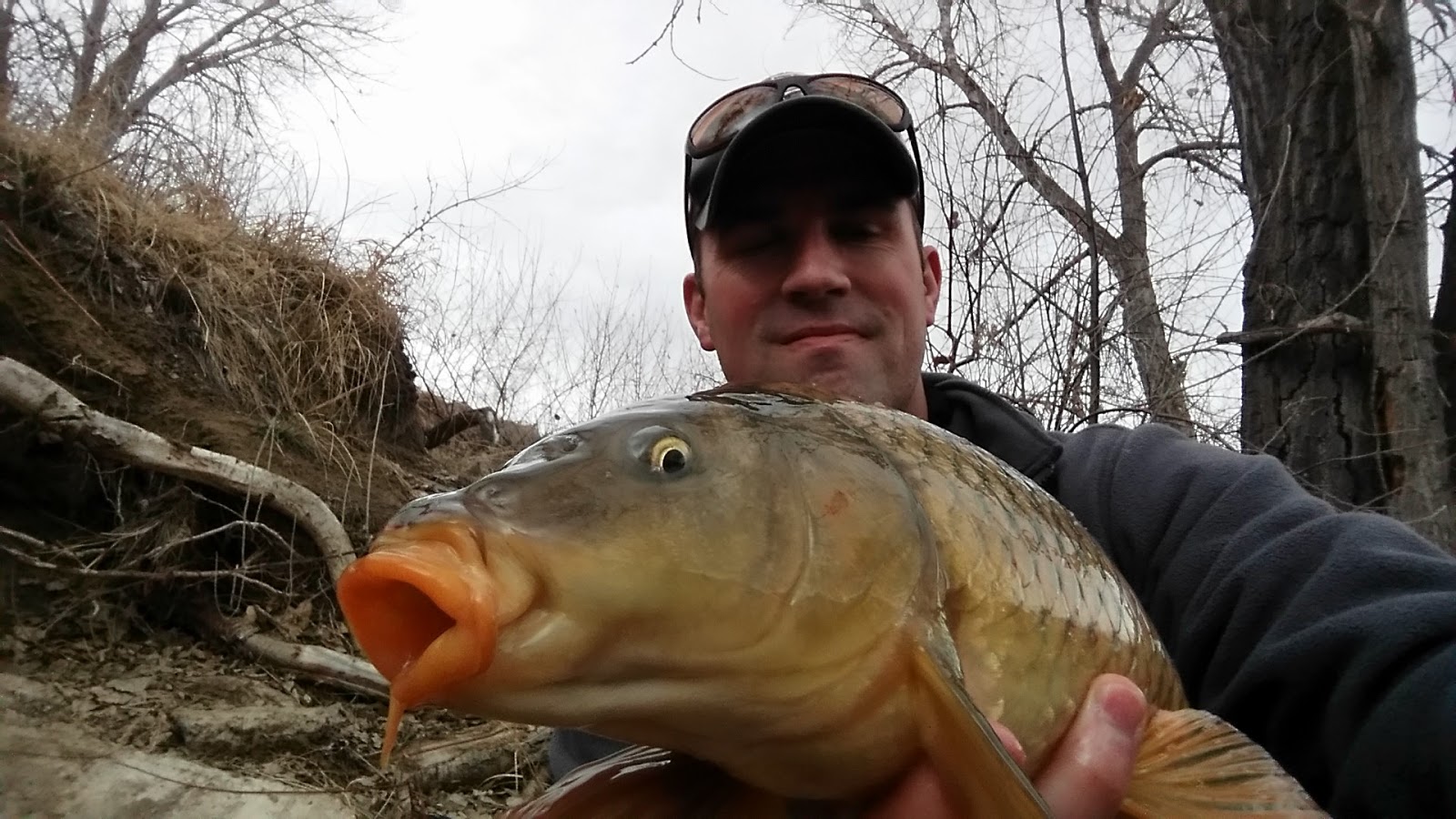 Go Fly a Carp Colorado Carp Fly Fishing Catching carp on the fly in
