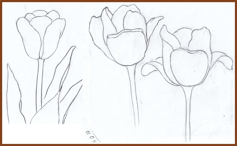 Weekly : Doodles and tuts: How to draw a Tulip: Method 3