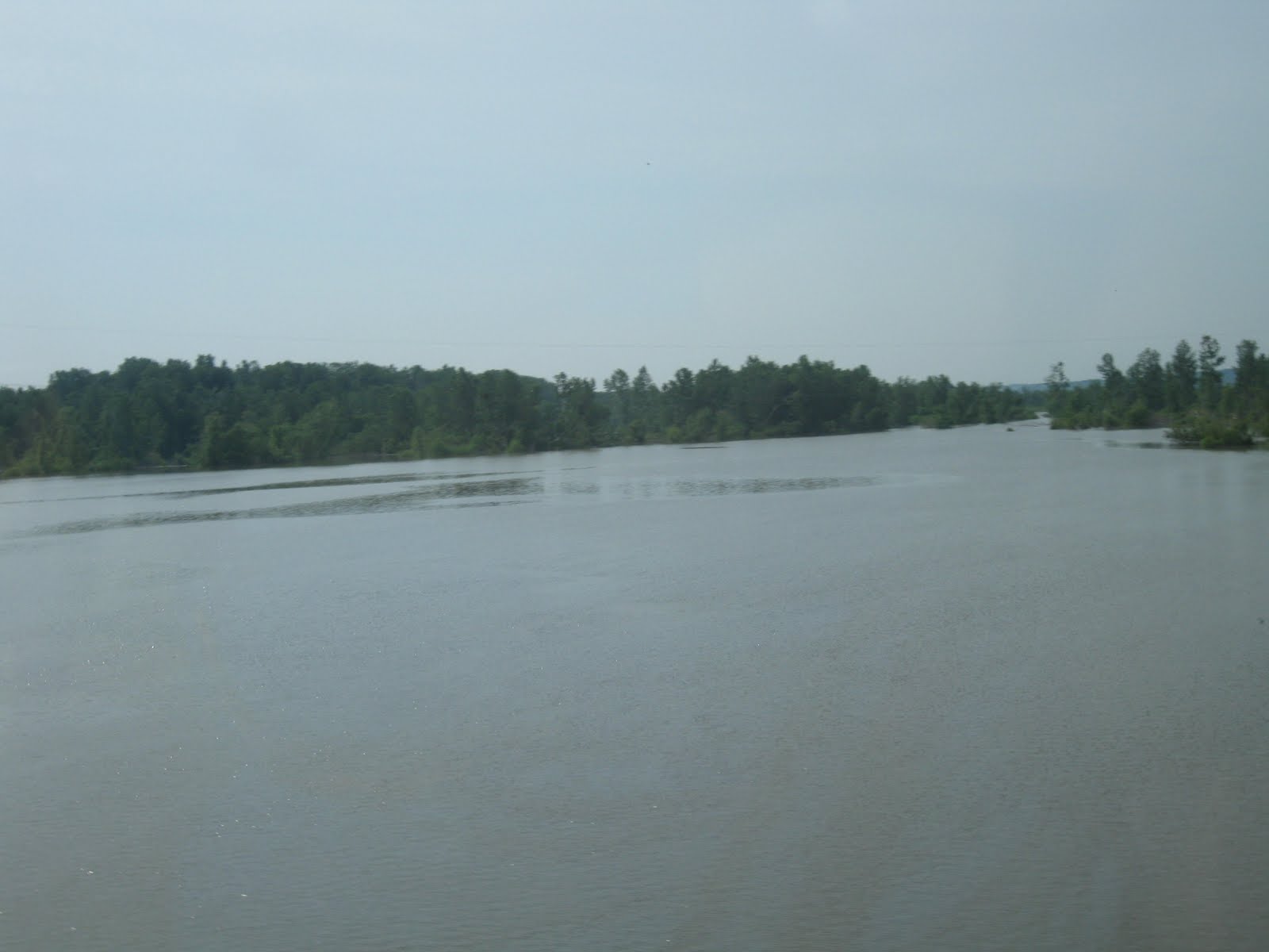 RoadhogUSABertoni Sister RebaLone Jack, MO to Hawk Point, MO