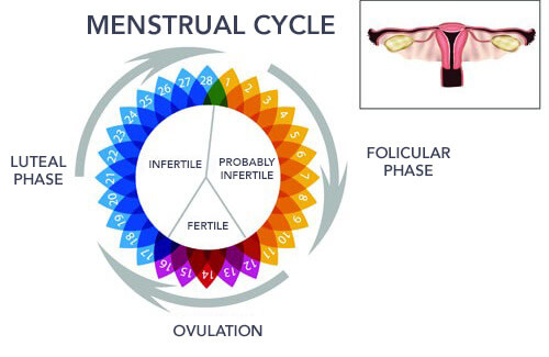 Irregular Menstruation: Why Does It Happen?