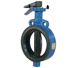 Industrial Valves Ahmedabad, Dual Disc Check Valve,   Dual Disc Check Valve Manufacturer