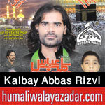 http://www.humaliwalayazadar.com/2014/10/kalbay-abbas-rizvi-nohay-2012-to-2015.html