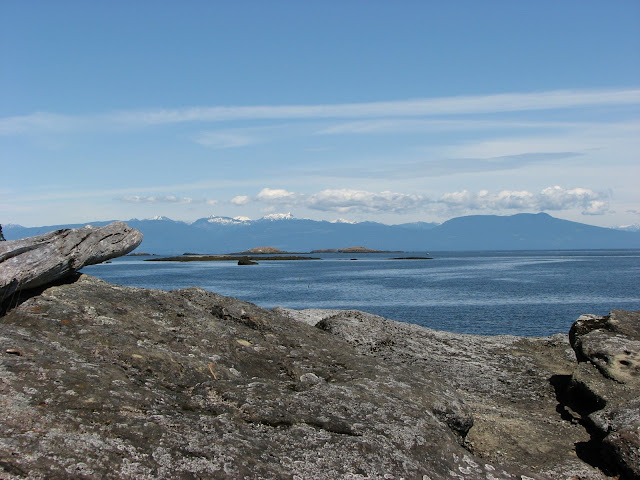 Salish Sea and BC Coastal Montains: seen from Jesse Island beach